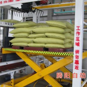 騰陽新型碼垛機-可以完全替代機械手的碼垛機