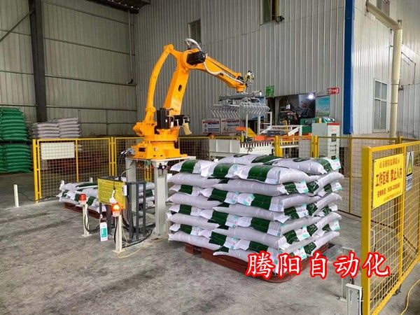 騰陽卸車碼垛機器人?流水線