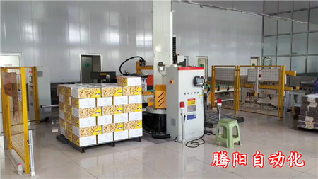 箱裝食品立柱碼垛機器人效率高減少貨物損壞