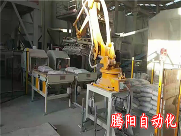 國產碼垛機器人化工產品雙線碼垛