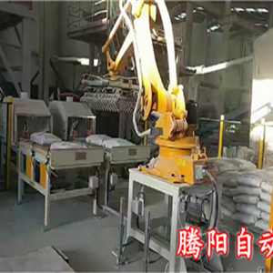 國產碼垛機器人化工產品雙線碼垛