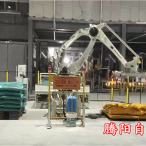 飼料碼垛機器人雙線雙爪碼垛效率高