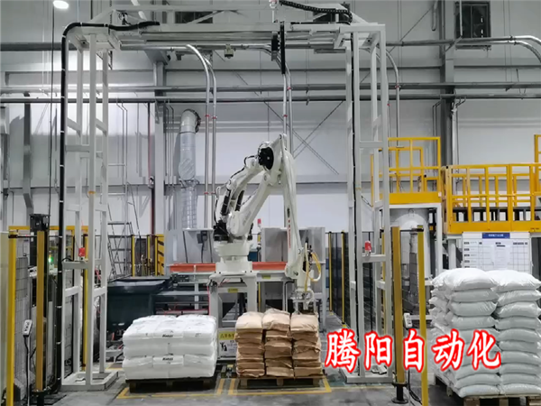 拆包投料機械手一臺機器可以拆兩種產品