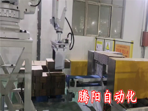 紙箱碼垛機器人
