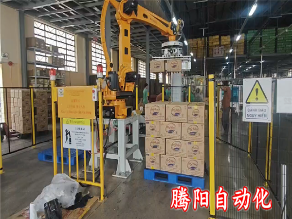 箱裝碼垛機器人