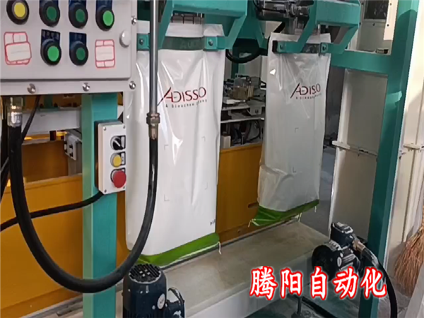 雙工位包裝碼垛機生產線